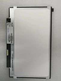 주문 BOE 11.6